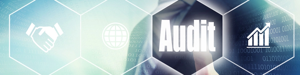 Outsourced Audit Support Services
