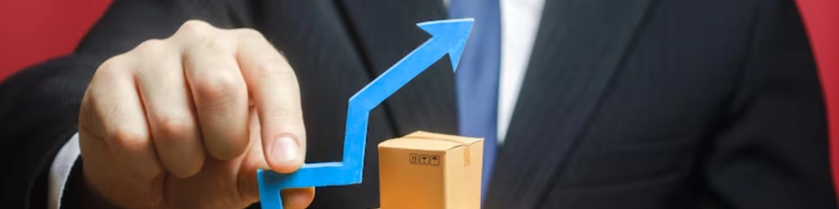 CPA outsourcing services