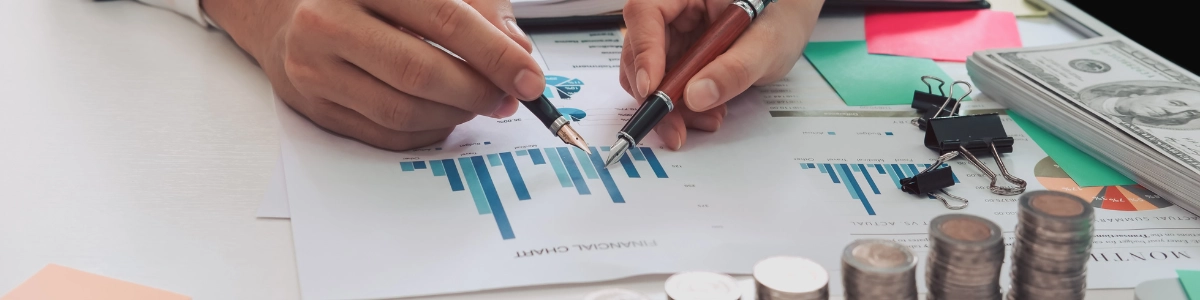 Virtual CFO for startups in USA