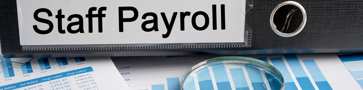 Why is Outsourced Payroll popular among Accounting professionals