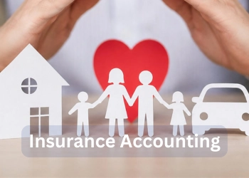 Insurance Accounting Challenges: How Insurance BPOs Can Improve Accuracy and Efficiency