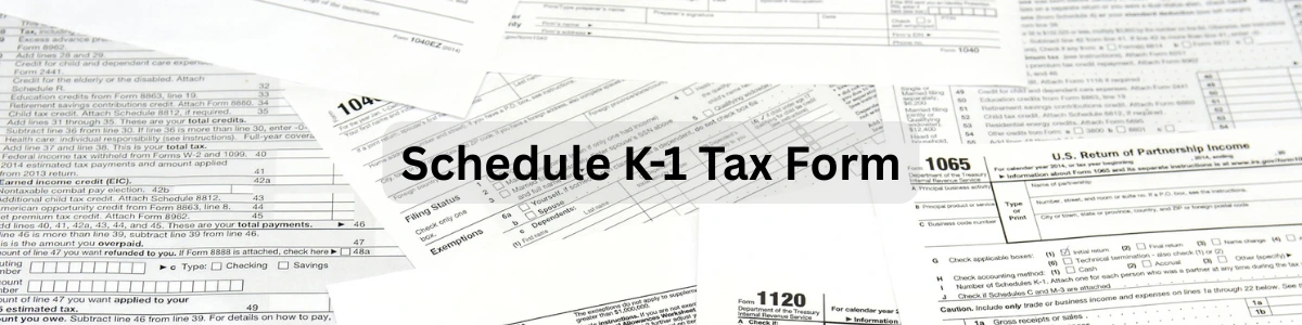 K-1 Tax Form